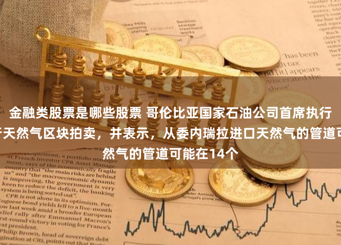 金融类股票是哪些股票 哥伦比亚国家石油公司首席执行官呼吁进行天然气区块拍卖，并表示，从委内瑞拉进口天然气的管道可能在14个