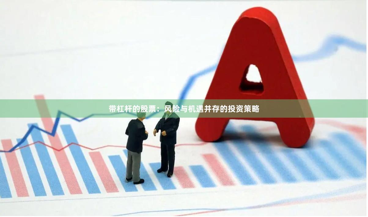 带杠杆的股票：风险与机遇并存的投资策略